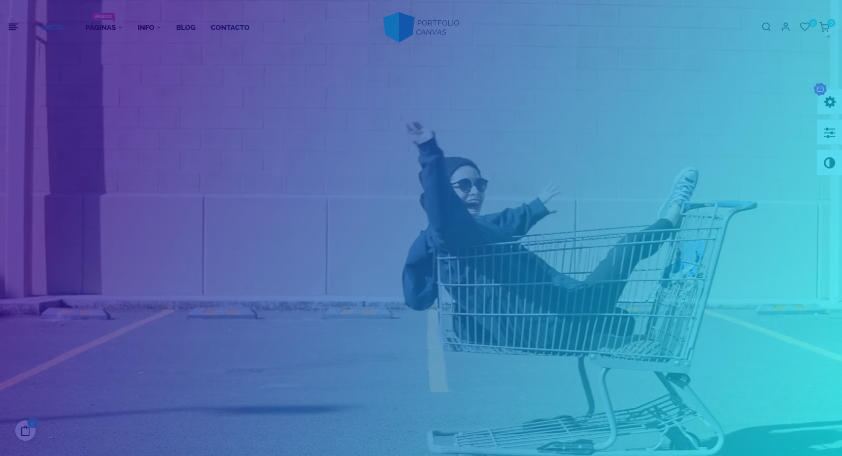 PORTFOLIO CANVAS. Nuestro E-commerce adaptable.